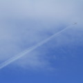 写真: Q400が作るヒコーキ雲