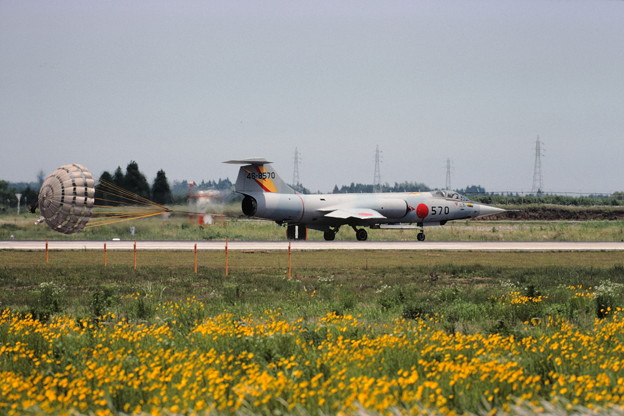 写真: F-104J 46-8570 202sq RJFN 1982.May