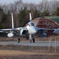 写真: F-15DJ Aggressor 088 taxi