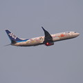 写真: B737 JA85AN ANA FLOWER JET takeoff
