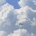 写真: A320 Vanilla 夏の雲と
