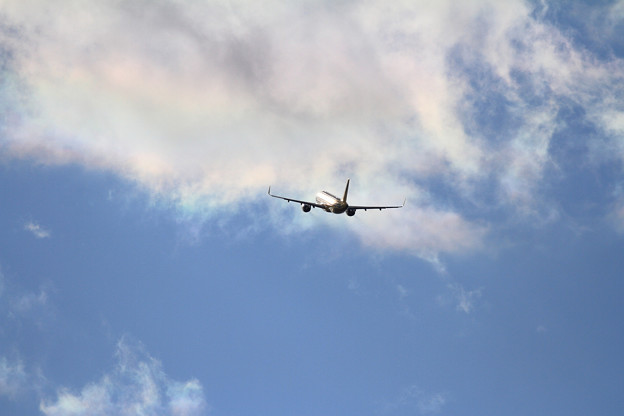 写真: A320 彩雲