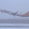 写真: B737 Jeju 降雪の中takeoff