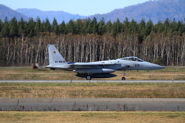写真: F-15J 8838 23sq 飛来