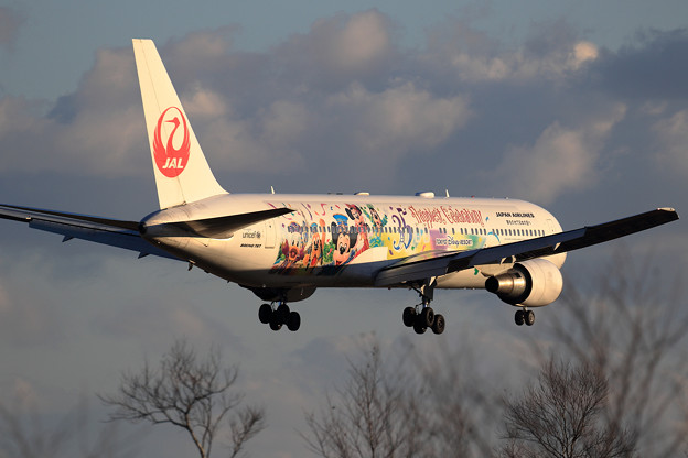 写真: B767 JAL CelebrationExpress landing