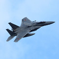 F-15J 2018撮り納め (3)