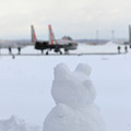 F-15DJ Aggressor 082とクマ系雪だるま