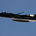 写真: F-15J 203sq 逆光