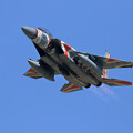 写真: F-15DJ 8082 Aggressor takeoff
