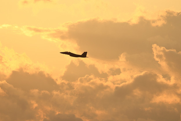写真: F-15DJ 夕焼け空にtakeoff