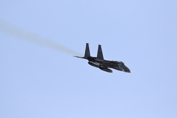 写真: F-15J Eagle 往く(3)