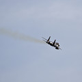 写真: F-15J Eagle 往く(4)