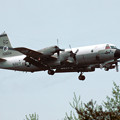 P-3C VP-50 SG-4 158214 MSJ 1984.05
