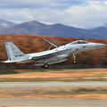 写真: F-15J 8921 201sq landing