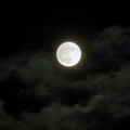 写真: 満月の夜