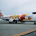 写真: B737-400 JA8994 JAL Phoenix Express Miyazaki  2001