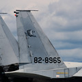 写真: F-15J 201sq 2001年戦競機 8965