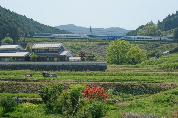 写真: 京都しまかぜ：近鉄大阪線