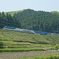 写真: 大阪しまかぜ：近鉄大阪線
