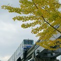 写真: 大阪モノレール
