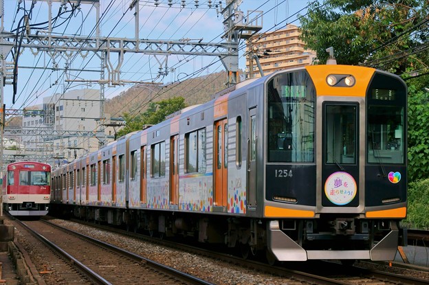 写真: 阪神1000系（奈良線）