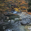 写真: 道志川の流れ