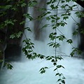 写真: 貞泉の滝