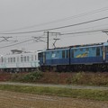 EH200 8牽引 関東鉄道キハ5010形2B(キハ5011+キハ5012) 甲種輸送