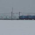 写真: EH200 8牽引 関東鉄道キハ5010形2B(キハ5011+キハ5012) 甲種輸送