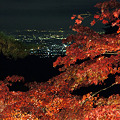 写真: 大山寺の紅葉と夜景