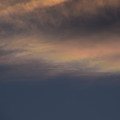 写真: 夕暮れの彩雲