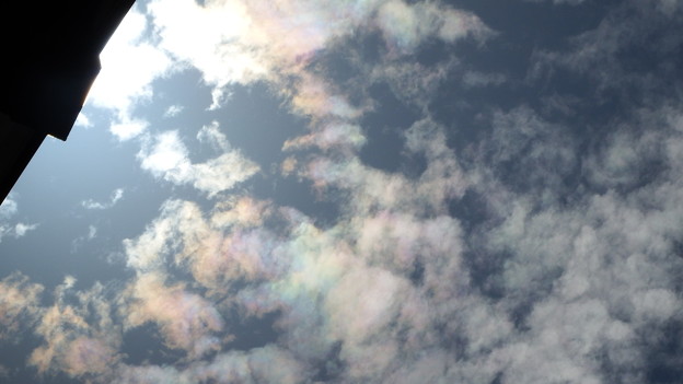 写真: 彩雲　３