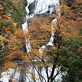 写真: 錦秋の滝