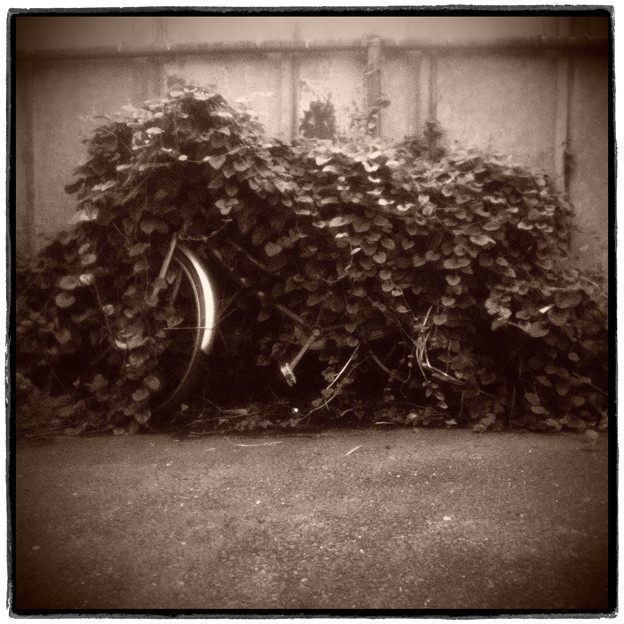 写真: 埋もれる自転車（Monochrome）