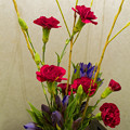 写真: 待合室の花