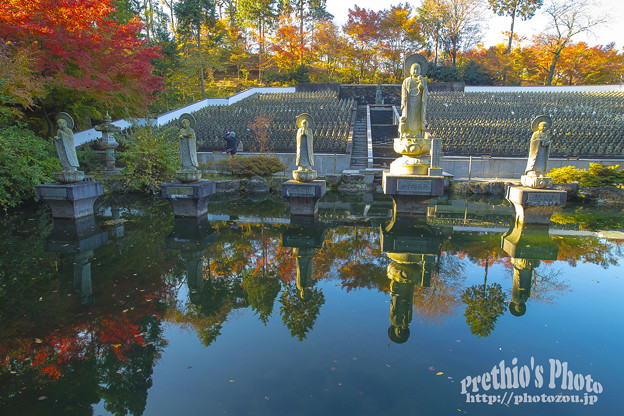 写真: 呑山観音寺の紅葉１３