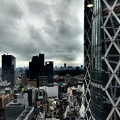 写真: 新宿エルタワーからの眺め