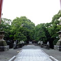 写真: 《平塚八幡宮》
