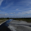 写真: 多摩川を眺む