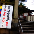 写真: 富岡八幡宮へ