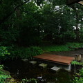 写真: ログハウス裏手の池