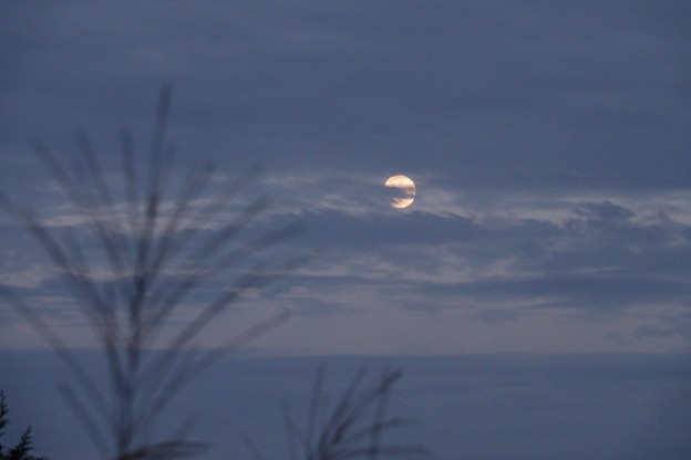 写真: 十四夜の月　雲間に
