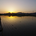 写真: 余田の夕陽