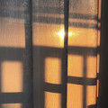 写真: カーテン越しの夕陽
