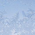 写真: 霜の結晶