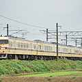 写真: 団体臨時列車117系
