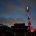 写真: 増上寺と東京タワー
