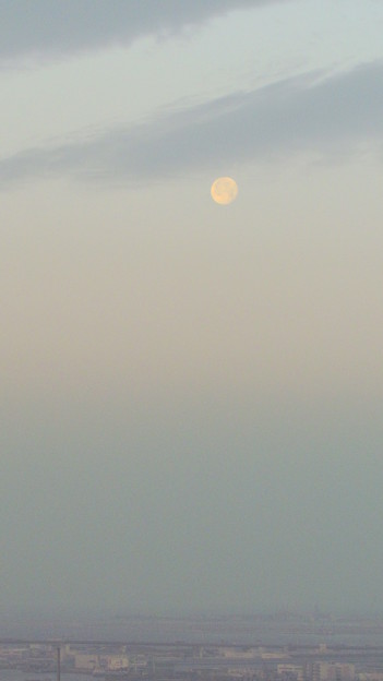 写真: 朝の月