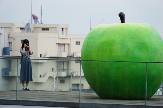 Photos: 青いリンゴ