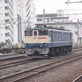 写真: EF65 1072 (*) at Matsuyama